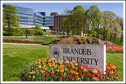 Campus images of Brandeis University